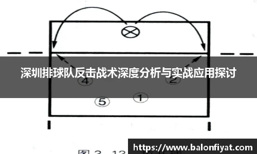 深圳排球队反击战术深度分析与实战应用探讨